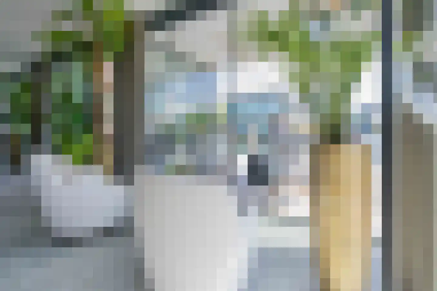 Dokpolderweg 2 Arnemuiden thumbnail 24