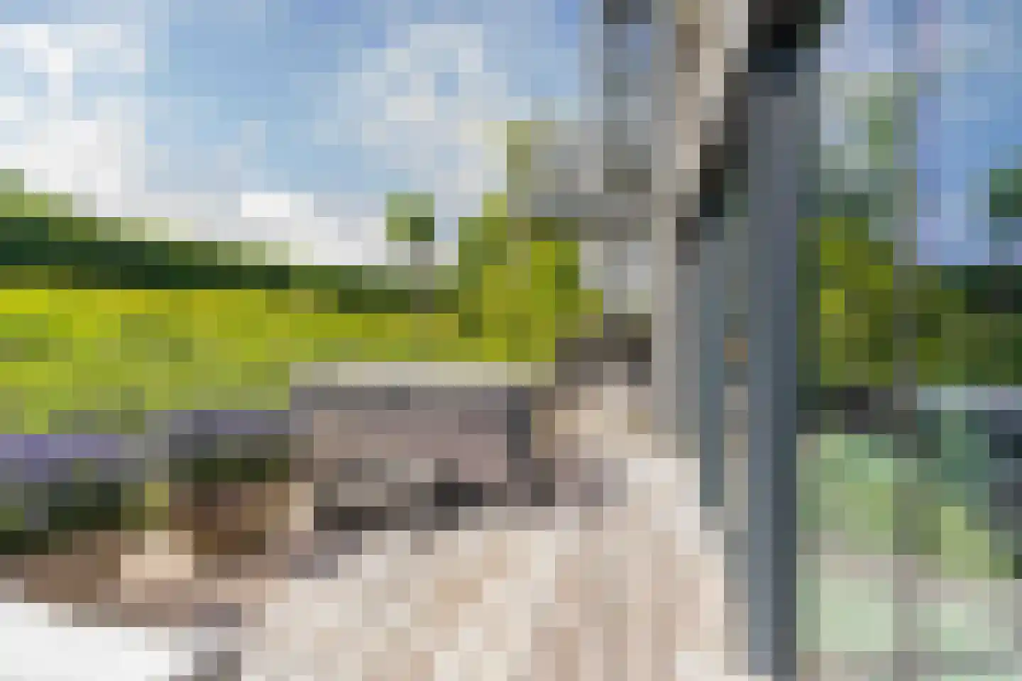 Dokpolderweg 2 Arnemuiden thumbnail 33