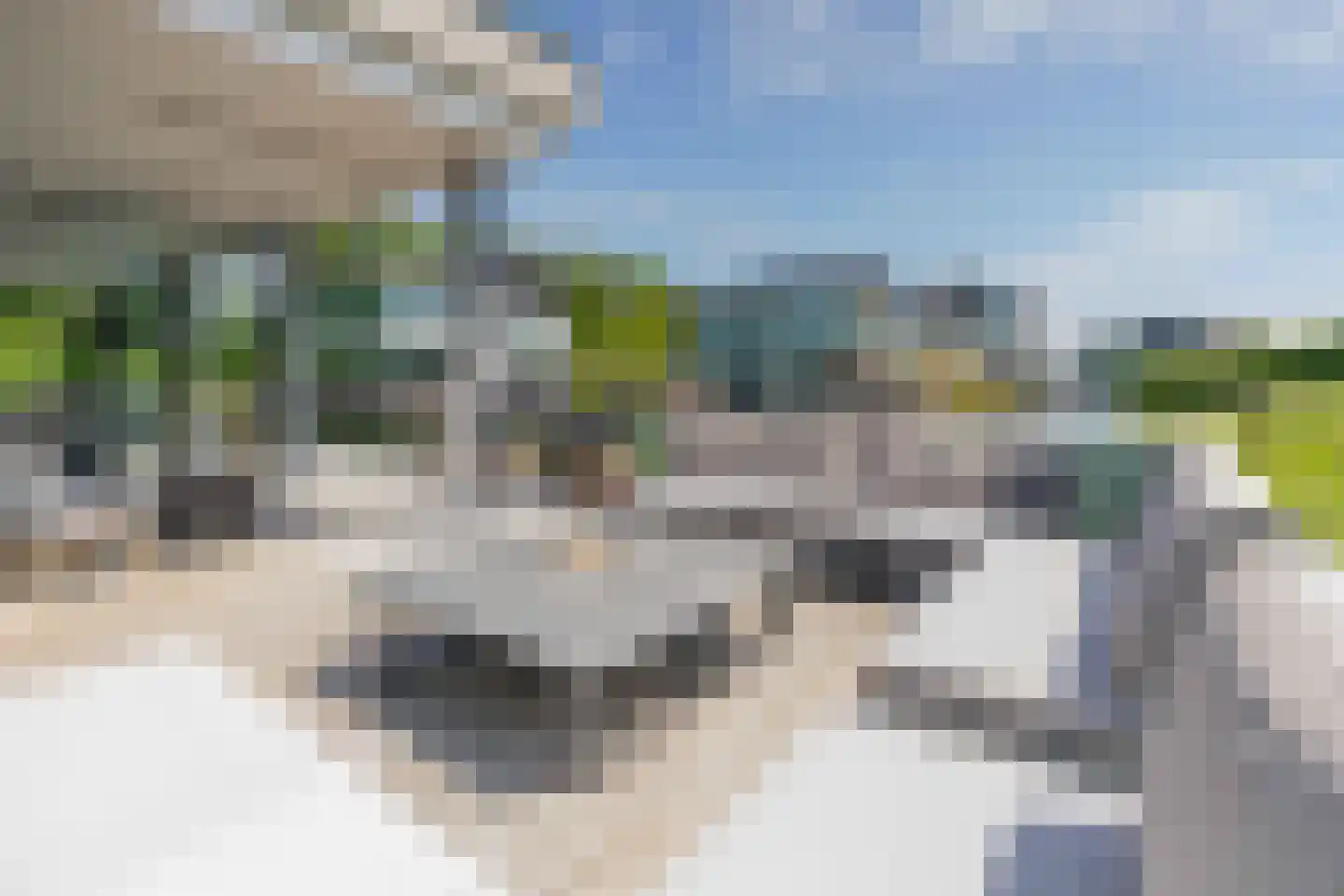 Dokpolderweg 2 Arnemuiden thumbnail 35