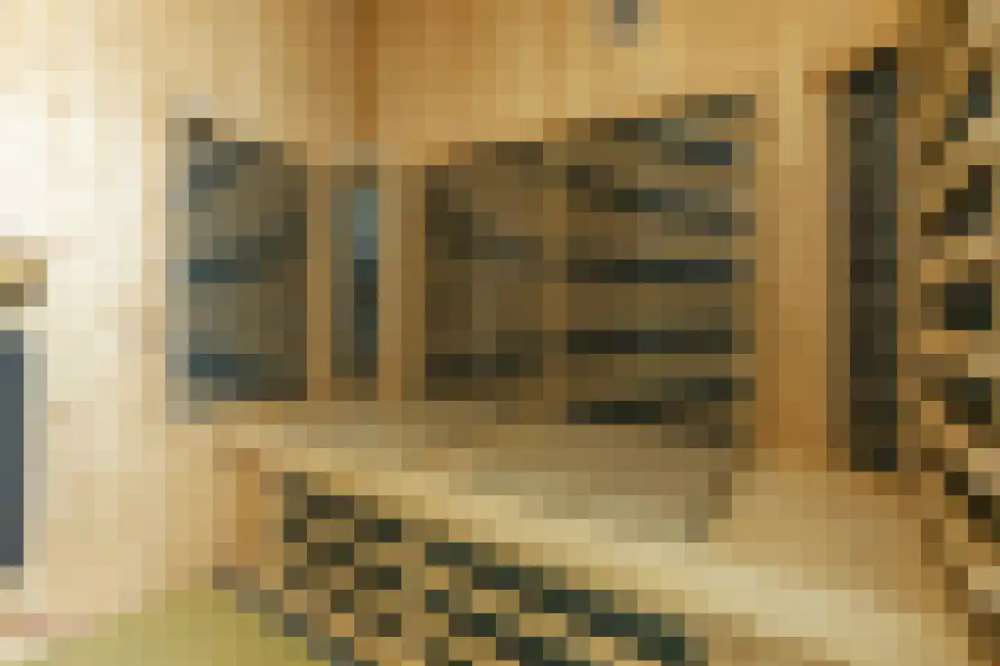 Dokpolderweg 2 Arnemuiden thumbnail 43