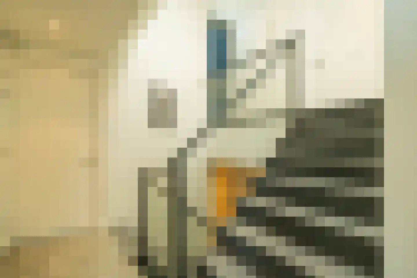 Dokpolderweg 2 Arnemuiden thumbnail 45