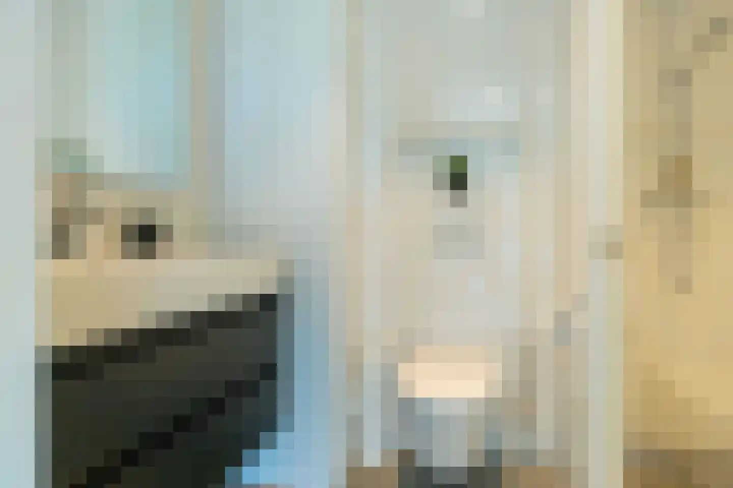 Dokpolderweg 2 Arnemuiden thumbnail 52