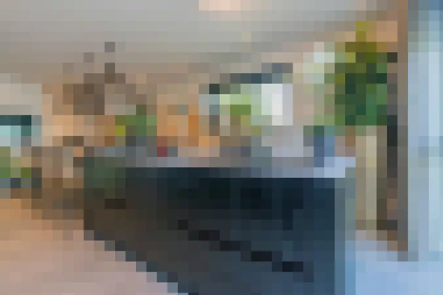 Dokpolderweg 2 Arnemuiden thumbnail 6