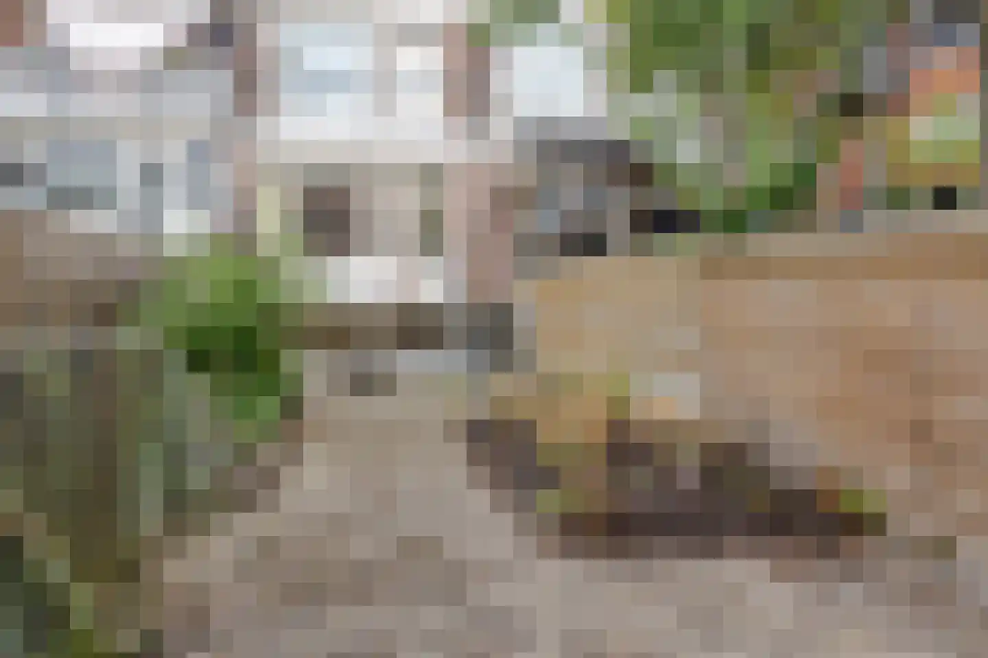 Dokstraat 10 Rotterdam thumbnail 18