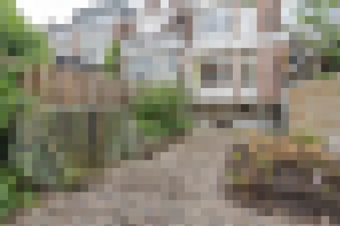 Dokstraat 10 Rotterdam thumbnail 19