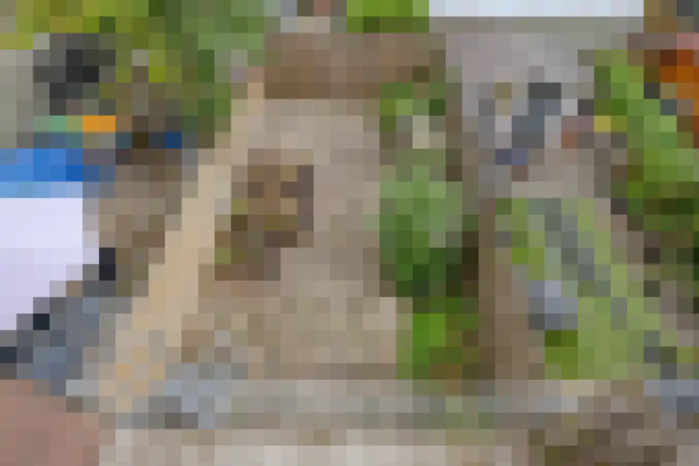 Dokstraat 10 Rotterdam thumbnail 33