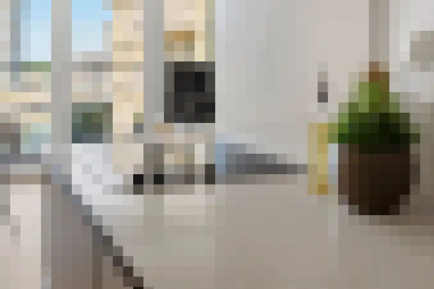 Dokstraat 127 Nijmegen thumbnail 12