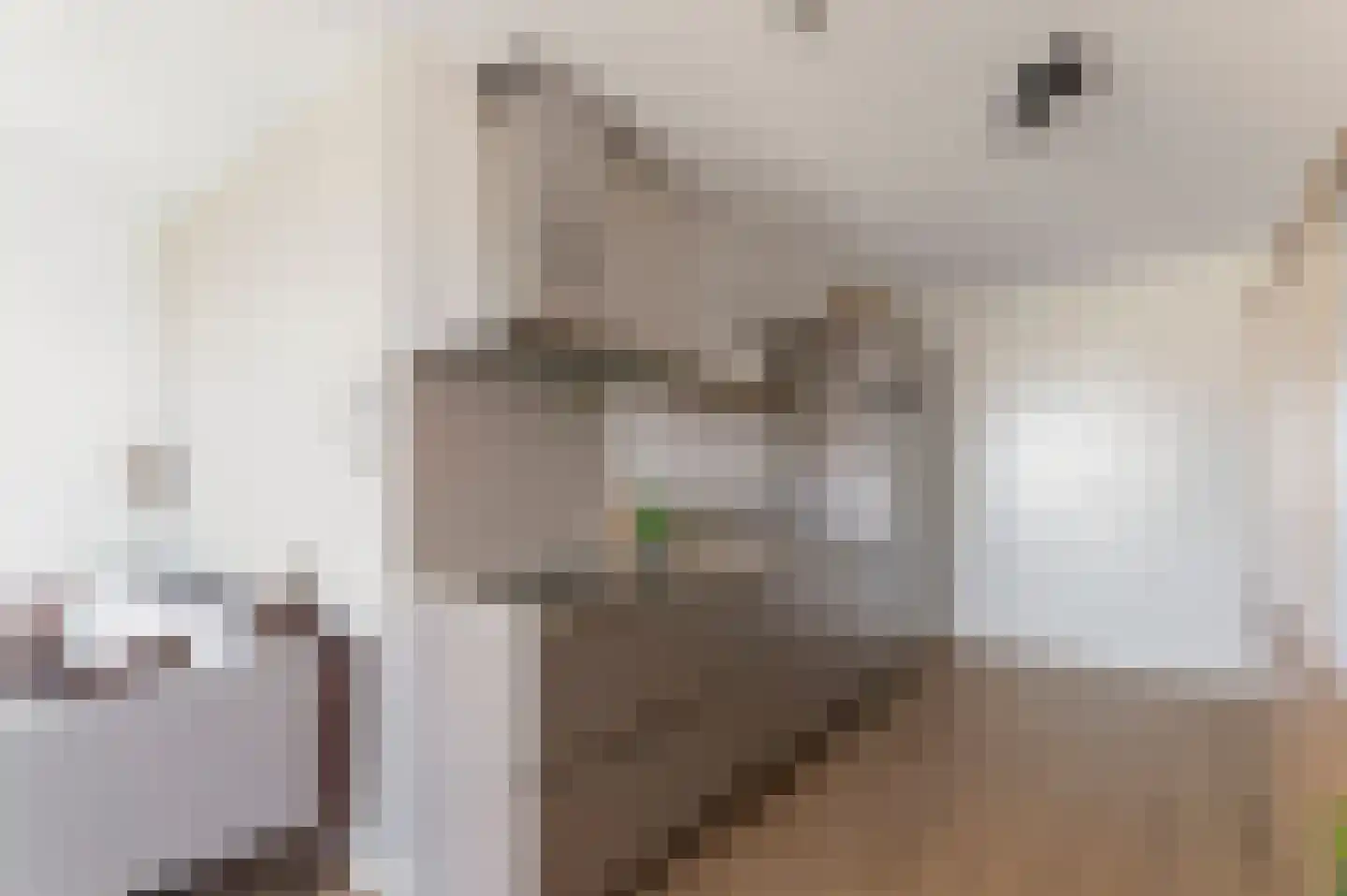 Dokstraat 127 Nijmegen thumbnail 13