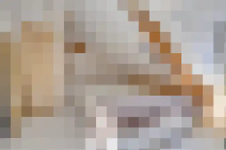 Dokstraat 20 Middelburg thumbnail 11