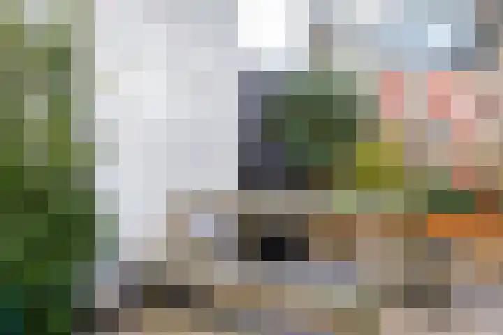 Dokstraat 20 Middelburg thumbnail 16