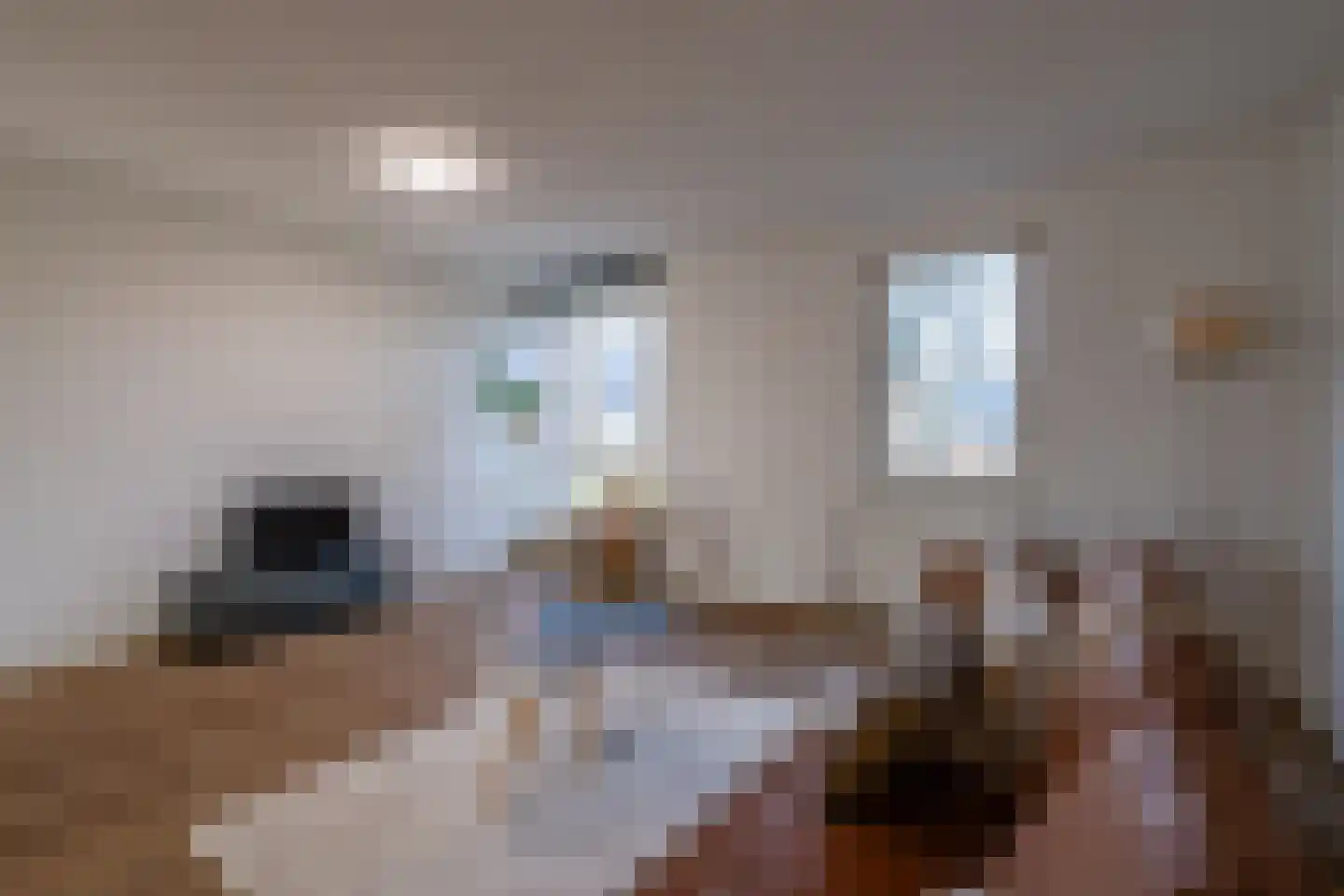 Dokstraat 37 Rotterdam thumbnail 17