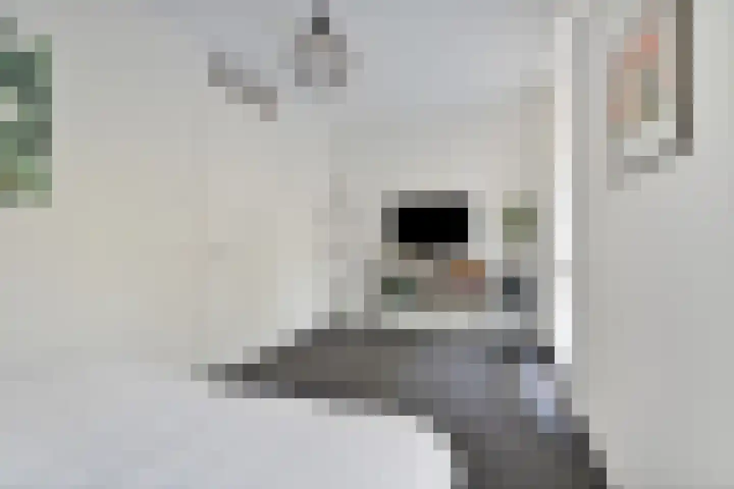 Dokstraat 43 Nijmegen thumbnail 26