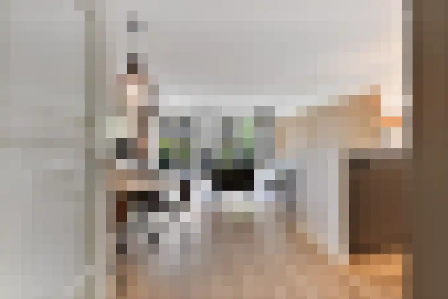 Dokstraat 43 Nijmegen thumbnail 8