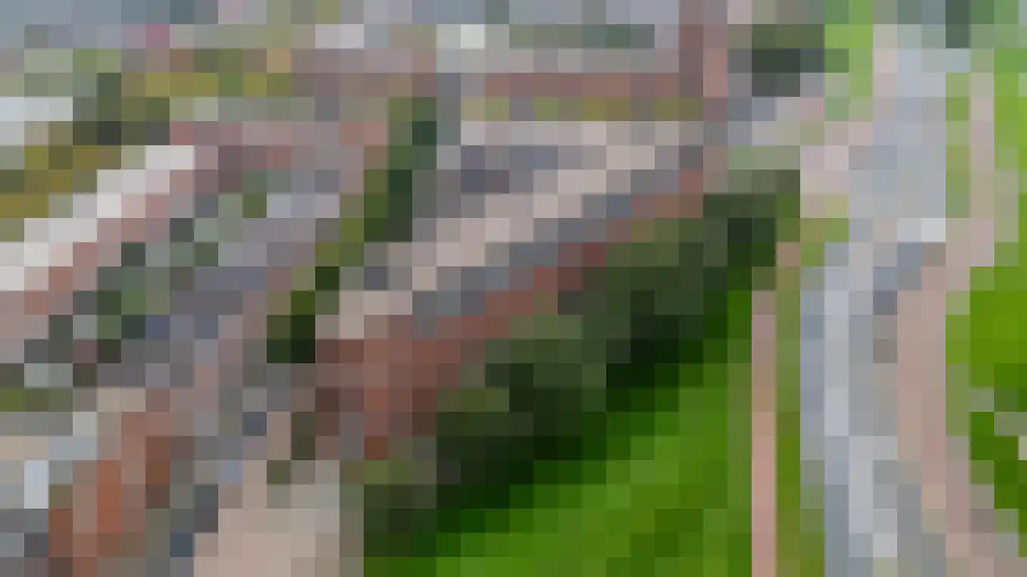 Dokstraat 43 Rotterdam thumbnail 35