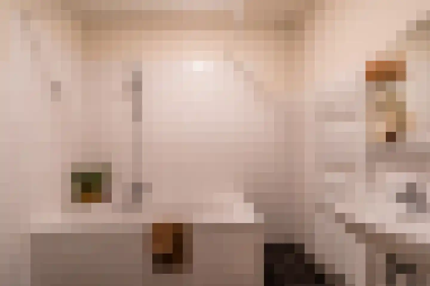Dokstraat 43 Rotterdam thumbnail 4