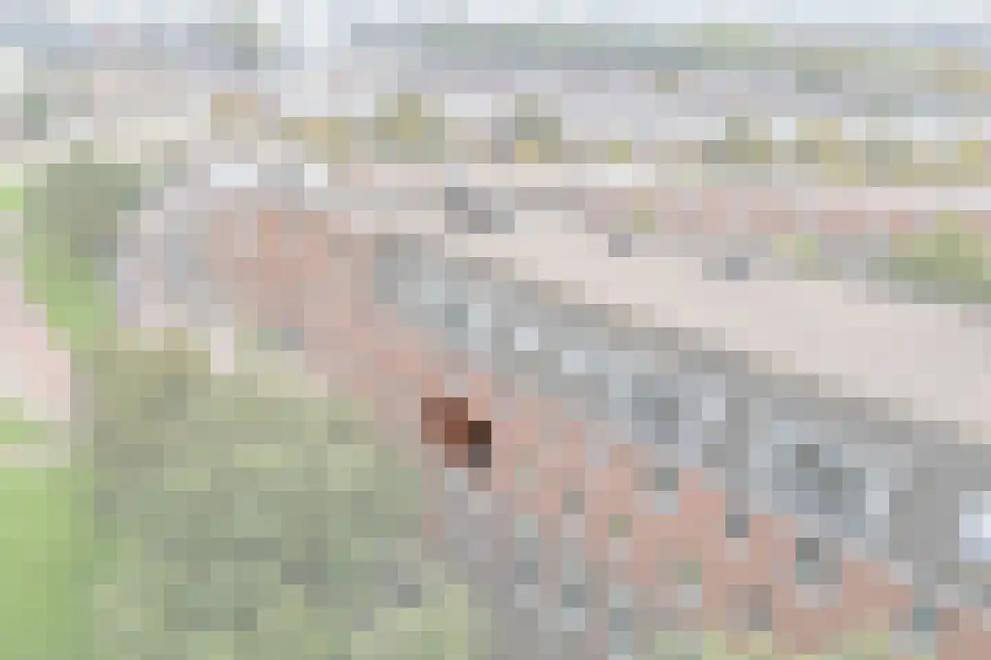 Dokstraat 43 Rotterdam thumbnail 5