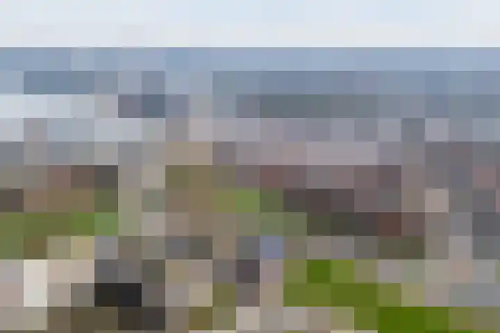 Dokstraat 49 Rotterdam thumbnail 39