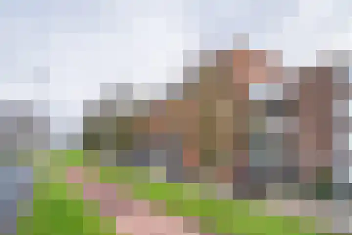 Dokstraat 49 Rotterdam thumbnail 40