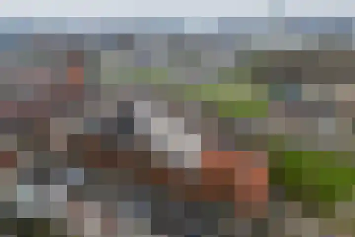 Dokstraat 49 Rotterdam thumbnail 48