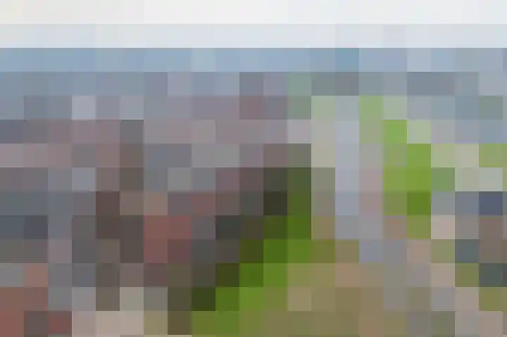 Dokstraat 49 Rotterdam thumbnail 5