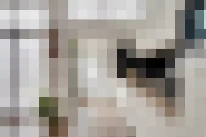 Dokstraat 8 Harlingen thumbnail 12