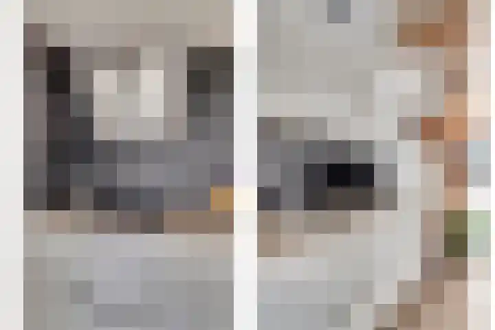 Dokstraat 8 Harlingen thumbnail 13