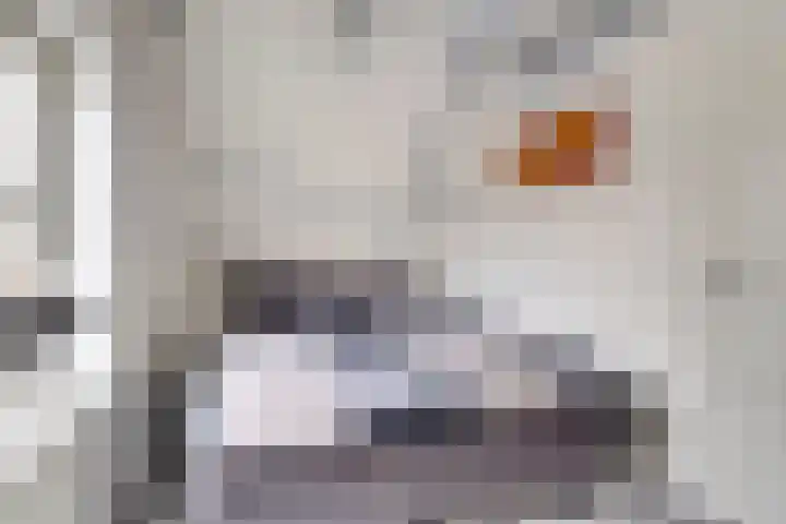 Dokstraat 8 Harlingen thumbnail 16