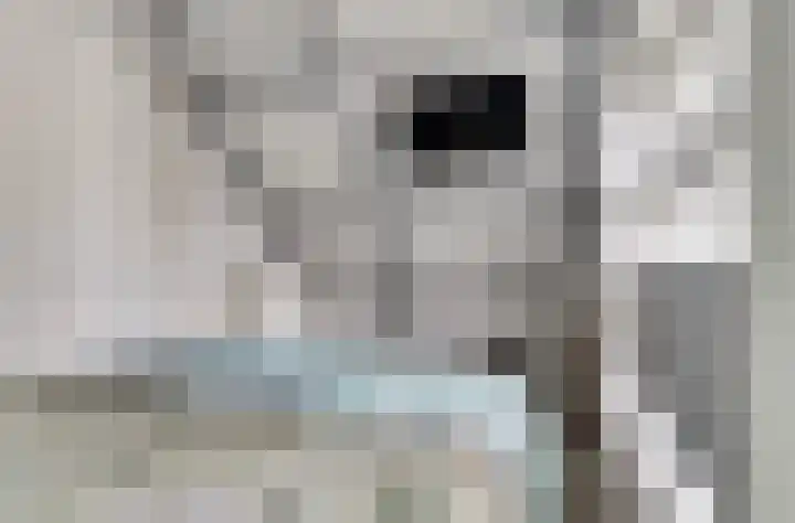 Dokstraat 8 Harlingen thumbnail 20