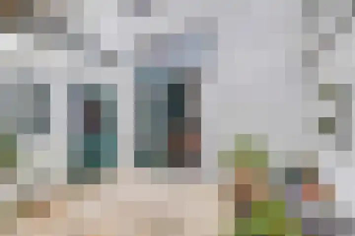 Dokstraat 8 Harlingen thumbnail 24