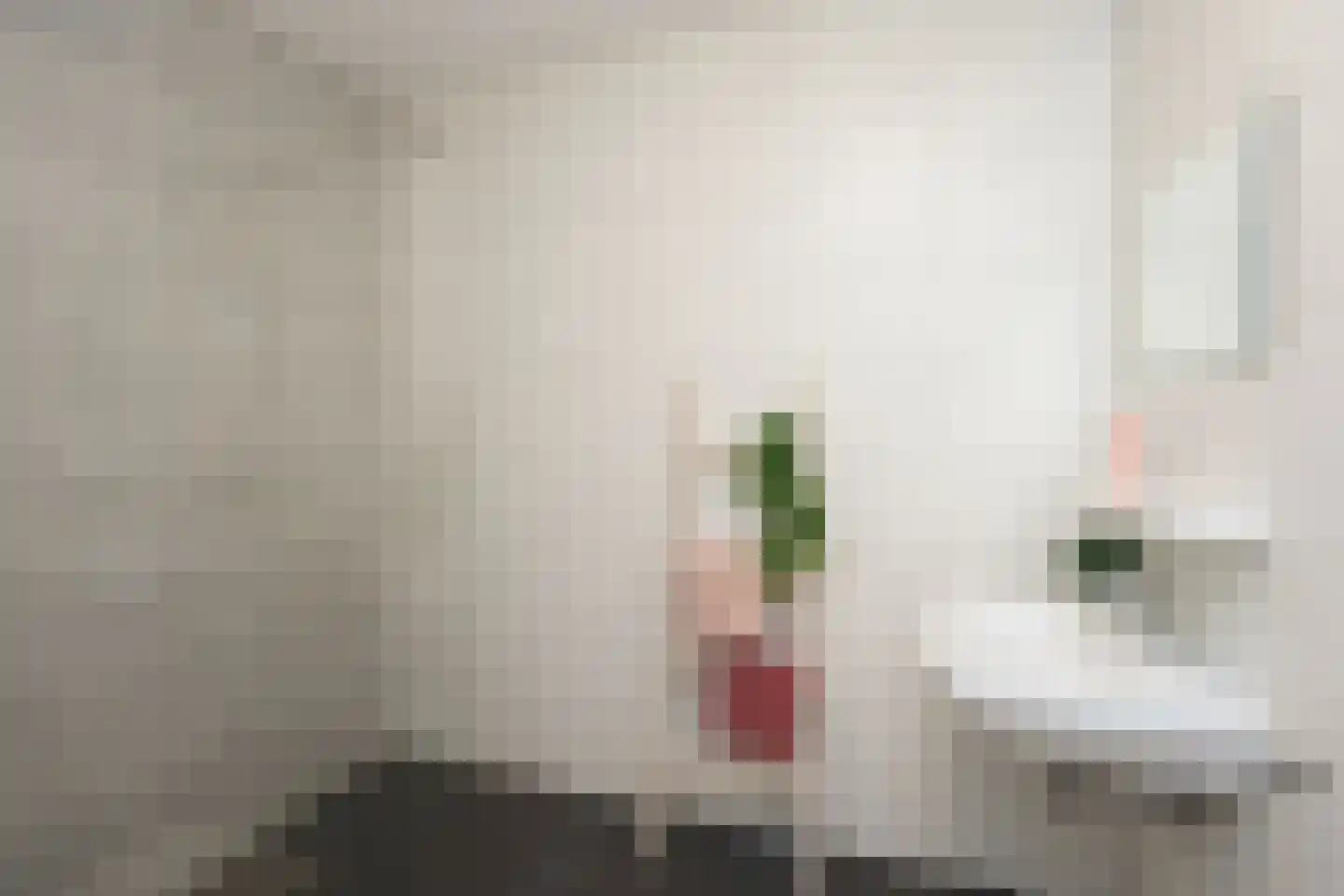 Dokstraat 81 Nijmegen thumbnail 25