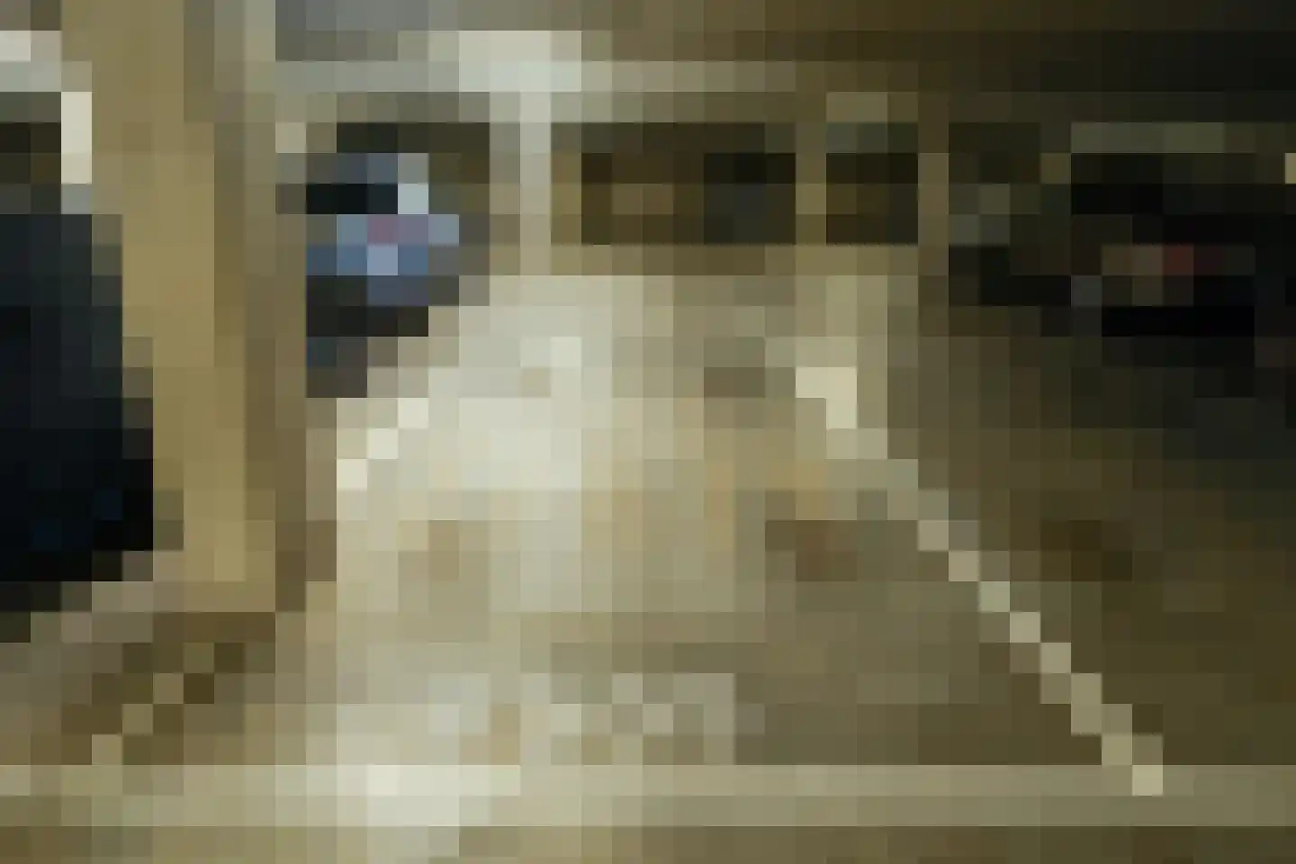 Dokstraat 81 Nijmegen thumbnail 34