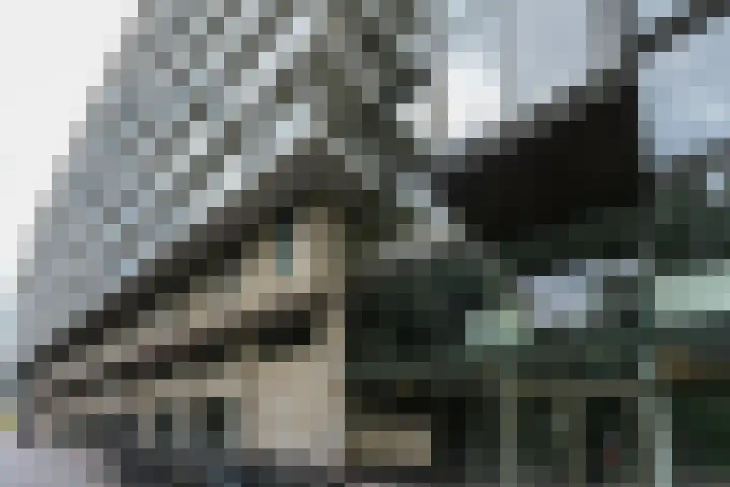 Dokstraat 81 Nijmegen thumbnail 5