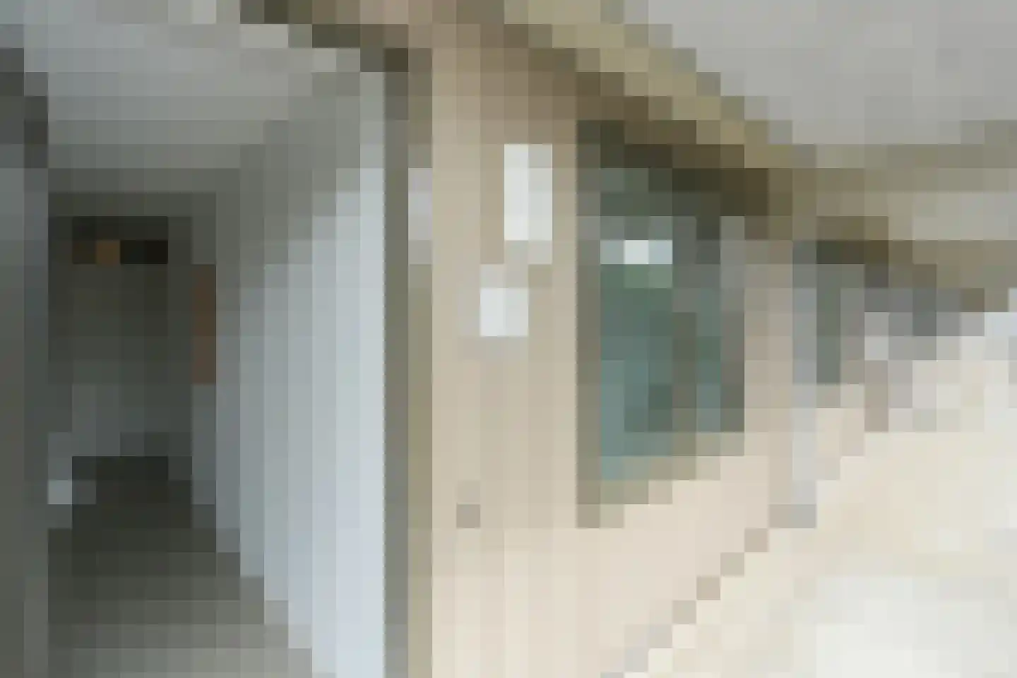 Dokstraat 81 Nijmegen thumbnail 9