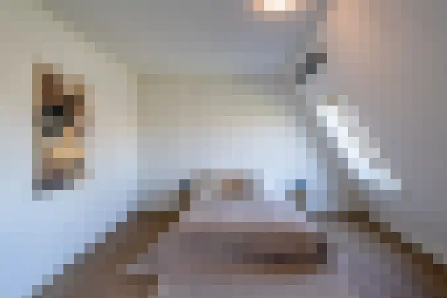 Dokstraat 81 Rotterdam thumbnail 27