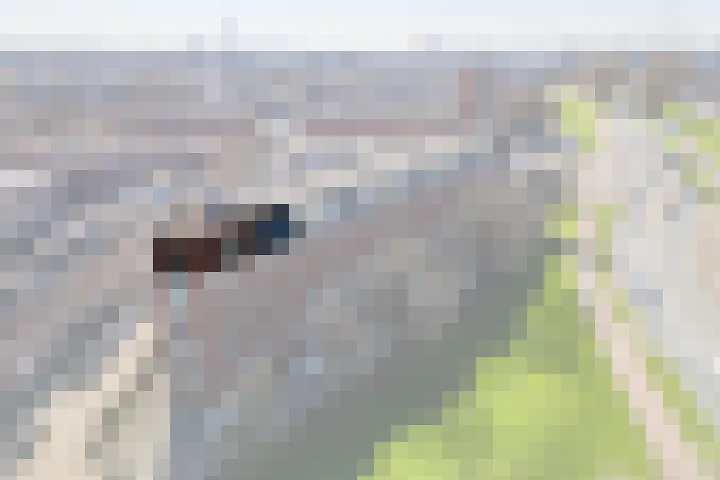 Dokstraat 81 Rotterdam thumbnail 6