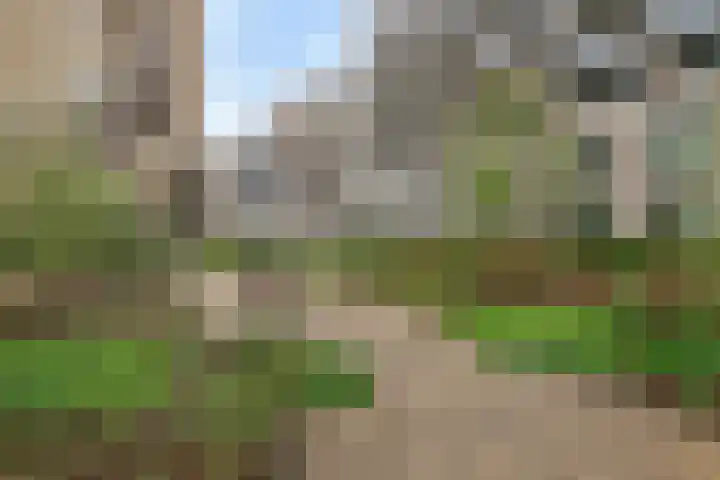 Dokstraat 87 Nijmegen thumbnail 25