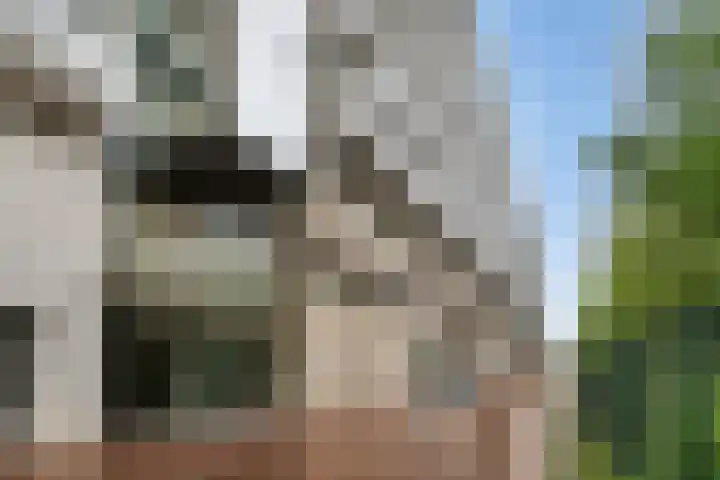 Dokstraat 87 Nijmegen thumbnail 28