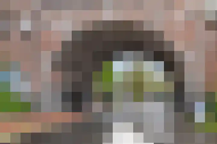 Dokstraat 87 Nijmegen thumbnail 30