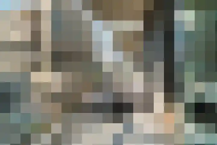 Dokstraat 89 Nijmegen thumbnail 10
