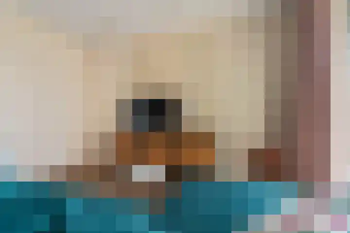 Dokstraat 89 Nijmegen thumbnail 14