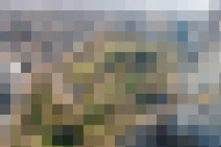 Dokstraat 89 Nijmegen thumbnail 33