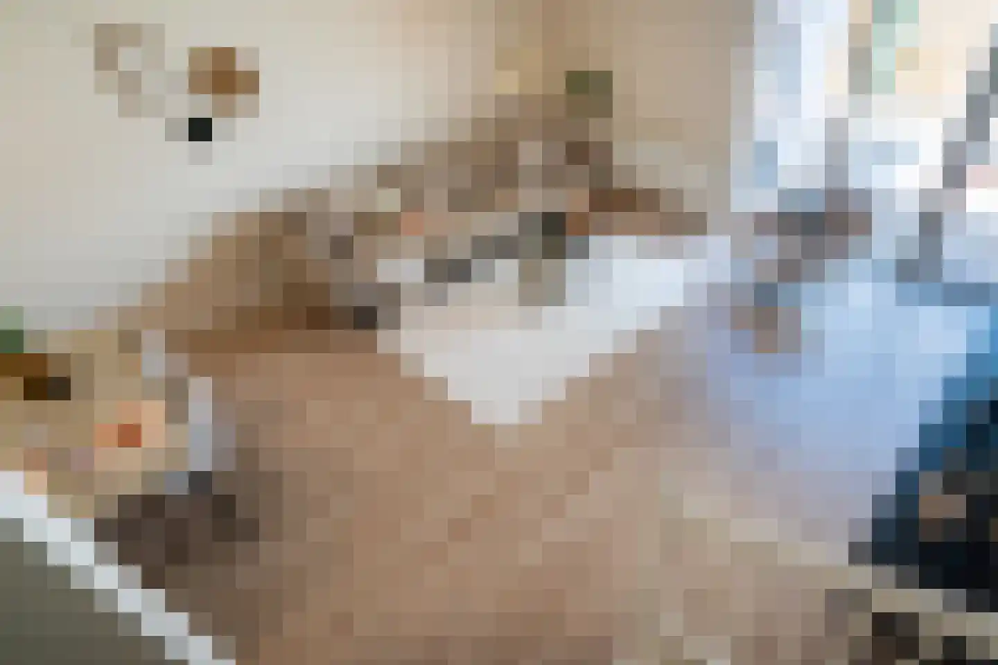 Dokstraat 89 Rotterdam thumbnail 21