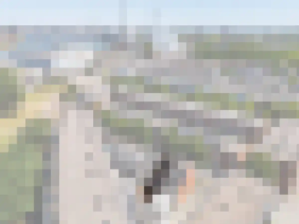 Dokstraat 89 Rotterdam thumbnail 5