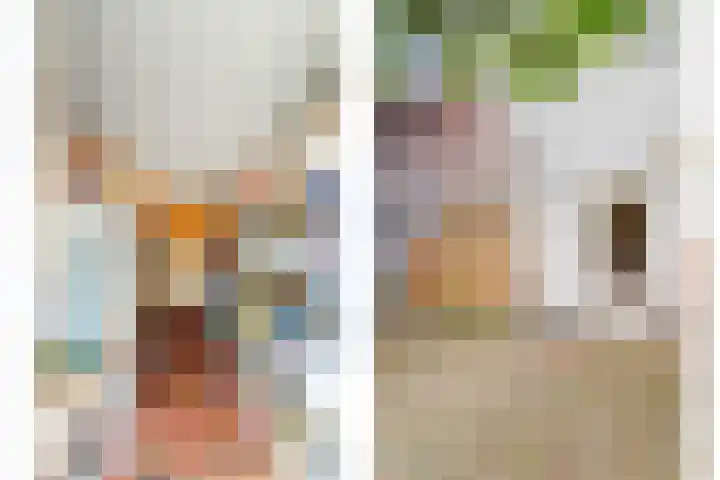 Dokstraat 9 Middelburg thumbnail 19