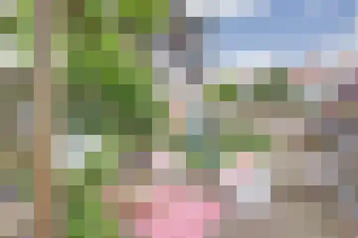 Dokstraat 9 Middelburg thumbnail 22
