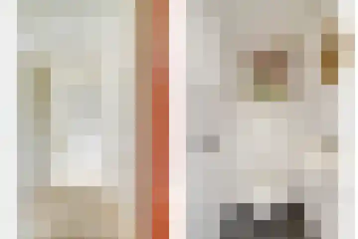 Dokstraat 9 Middelburg thumbnail 5