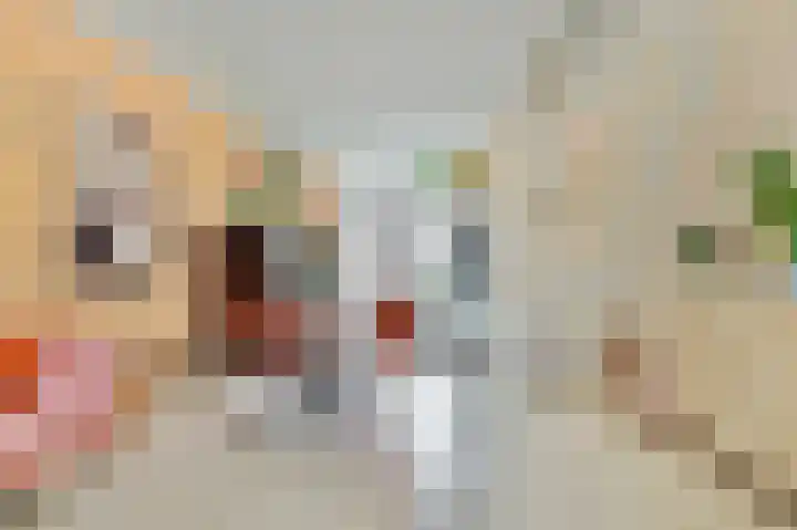 Dokstraat 9 Middelburg thumbnail 7