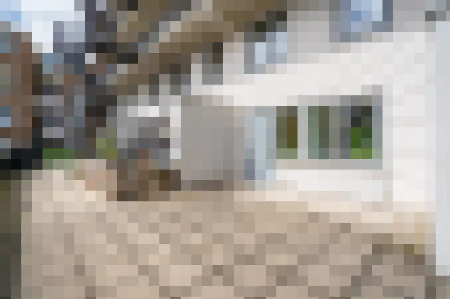 Dokstraat 9 Rotterdam thumbnail 11