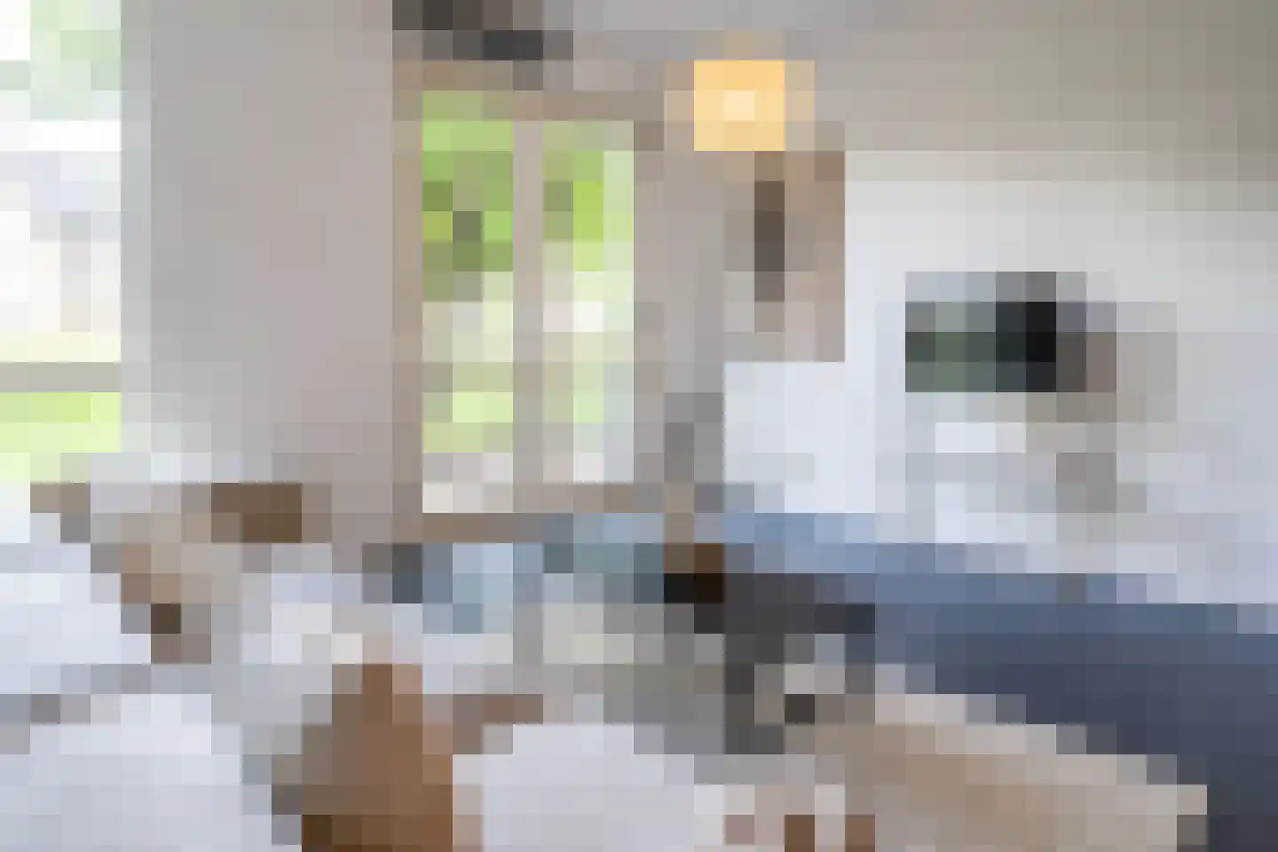 Dokstraat 9 Rotterdam thumbnail 17