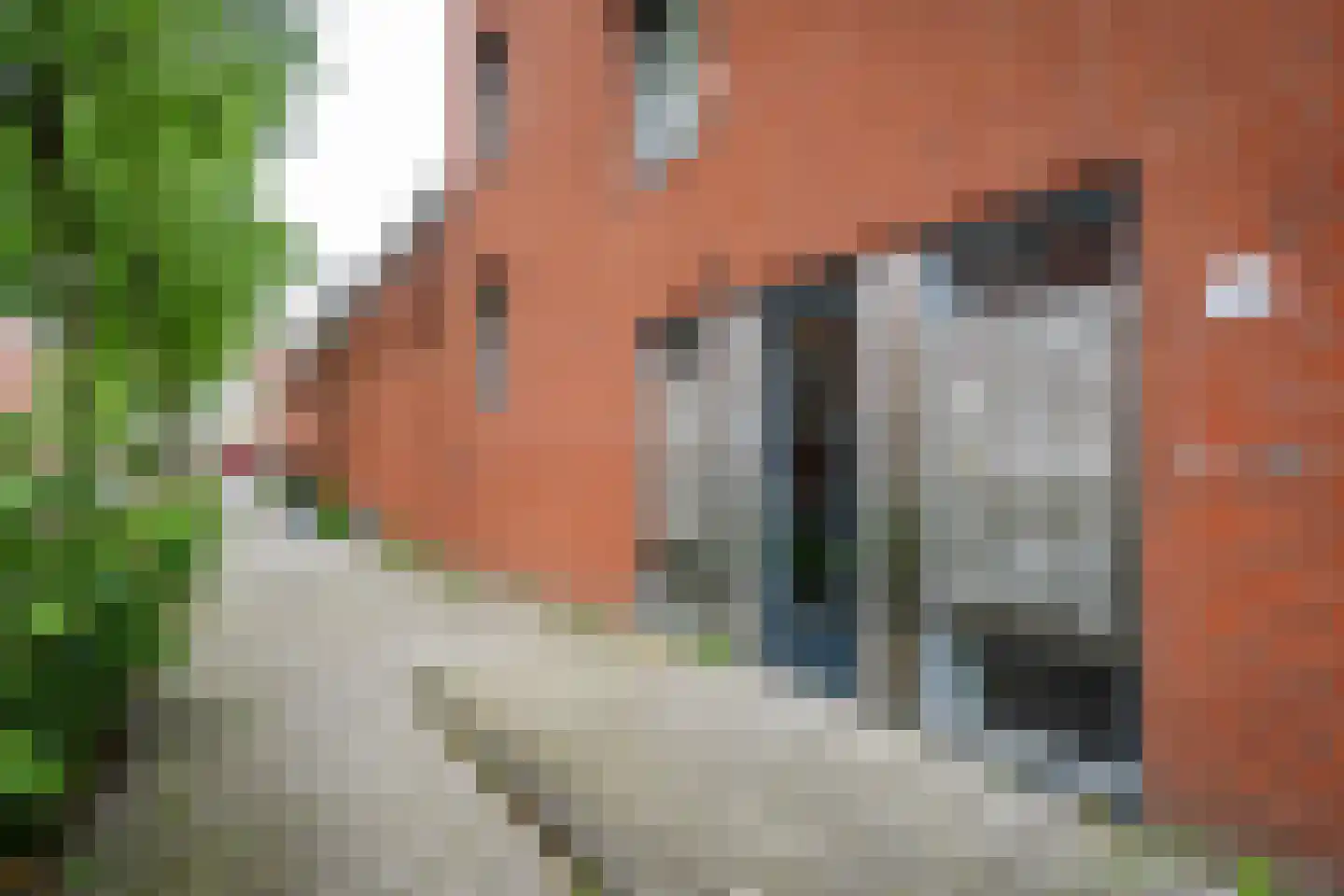 Dokstraat 9 Rotterdam thumbnail 9